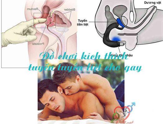 sex-toy-cho-gay-3-524x400-1 Sex Toy Cho Gay