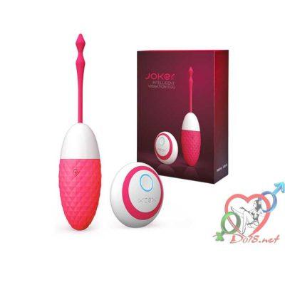 trứng rung điều khiển từ xa