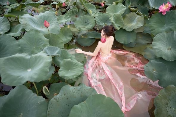Váy hồng hòa mình trong đầm sen